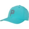 Puma Cap PTC, Grün