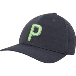 Puma P110 Cap, Grau/grün