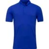 Puma Poloshirt Team Cloudspun, Kurzarm, Royal -Polo und Mütze puma poloshirt team cloudspun kurzarm royal blau 6869796 1sMJSpmxn17qSz 1280x1280